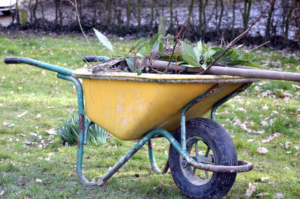 Wheel-barrow-in-a-yard-brimming-with-debre
